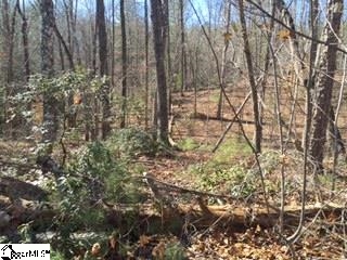 Property image 3 at 802 Scharlin Drive, Pickens, SC 29671