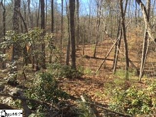 Property image 5 at 802 Scharlin Drive, Pickens, SC 29671