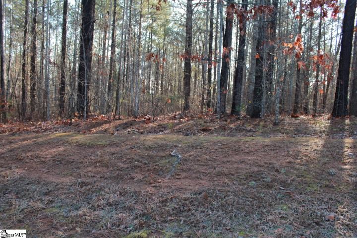 Property image 3 at 106 Penbroke court, Six Mile, SC 29682