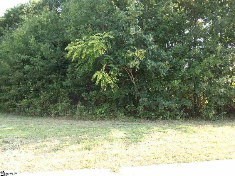 Property image 3 at 15 Twin Silo Court, Greer, SC 29651