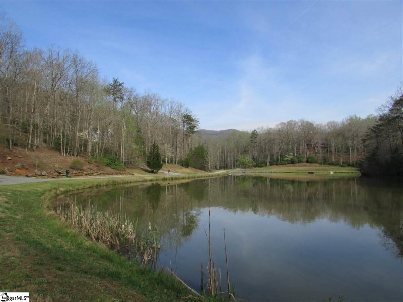 Property image 2 at 206 Hunters Ridge, Pickens, SC 29671