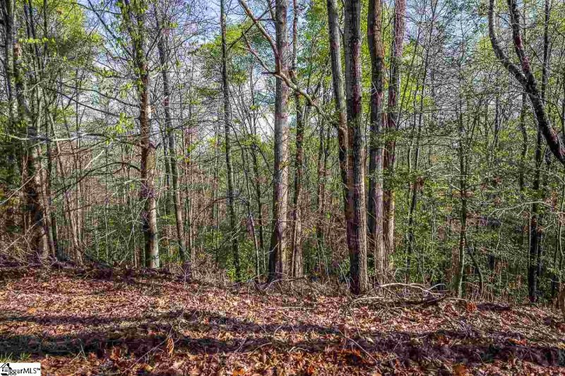 Property image 3 at 305 Cardinal Drive, Greenville, SC 29609