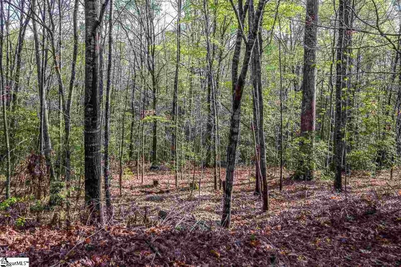 Property image 4 at 305 Cardinal Drive, Greenville, SC 29609