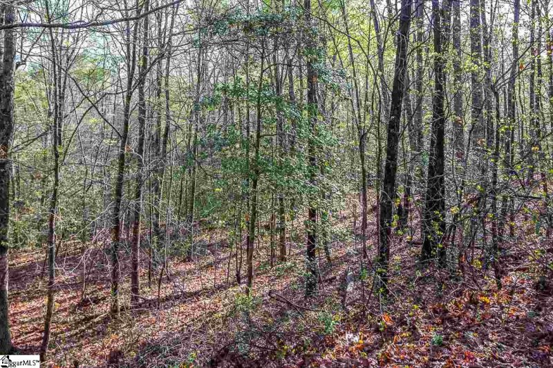 Property image 5 at 305 Cardinal Drive, Greenville, SC 29609