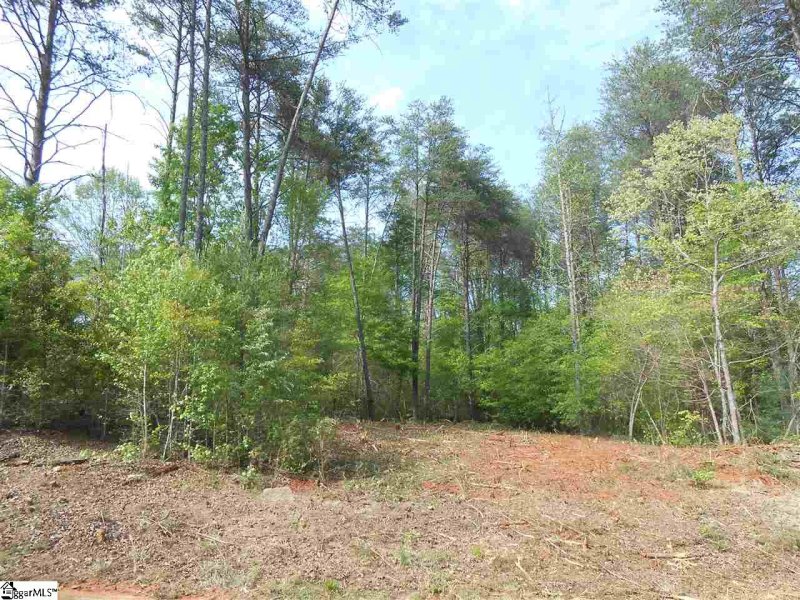 Property image 2 at 1205 Bradford Creek Lane, Taylors, SC 29687