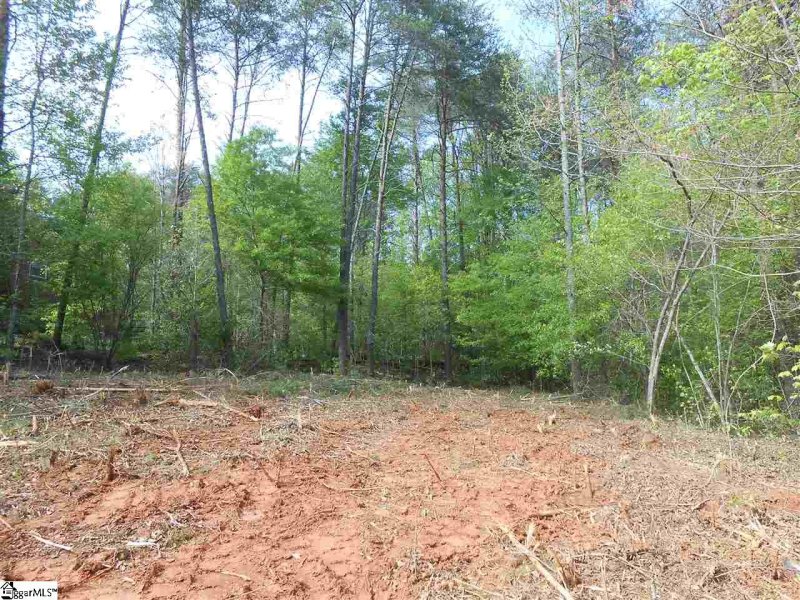 Property image 3 at 1205 Bradford Creek Lane, Taylors, SC 29687