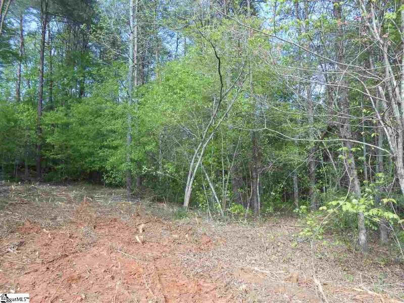 Property image 4 at 1205 Bradford Creek Lane, Taylors, SC 29687