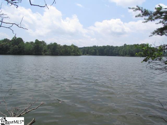 Property image 2 at 219 Ballyhoo Court, Greer, SC 29651