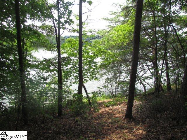 Property image 3 at 219 Ballyhoo Court, Greer, SC 29651