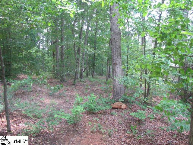 Property image 5 at 219 Ballyhoo Court, Greer, SC 29651