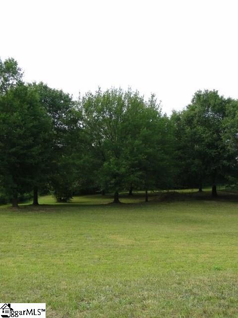 Property image 3 at 111 Uncle Will Way, Wellford, SC 29385