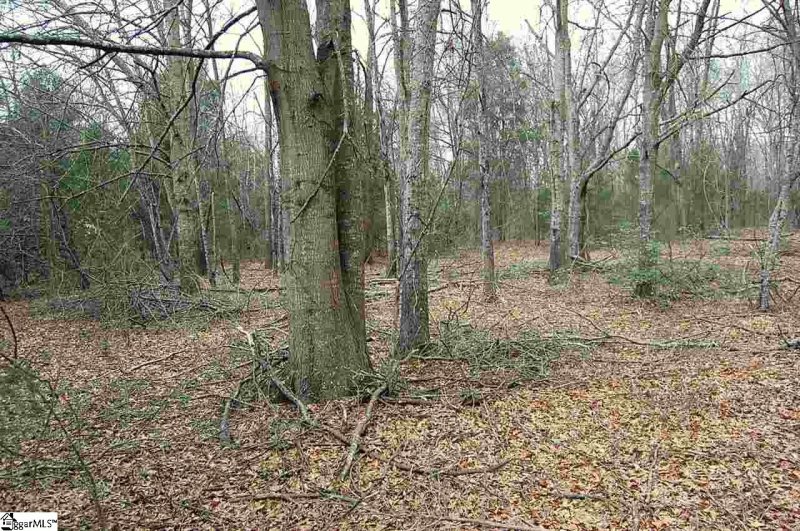 Property image 3 at 12 Hackamore Trail, Piedmont, SC 29673