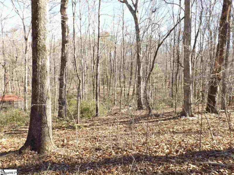 Property image 2 at Tract 6 and 7 Mountain Ridge Estates Road, Cleveland, SC 29635