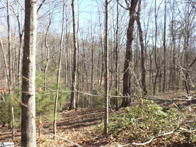 Property image 4 at Tract 6 and 7 Mountain Ridge Estates Road, Cleveland, SC 29635