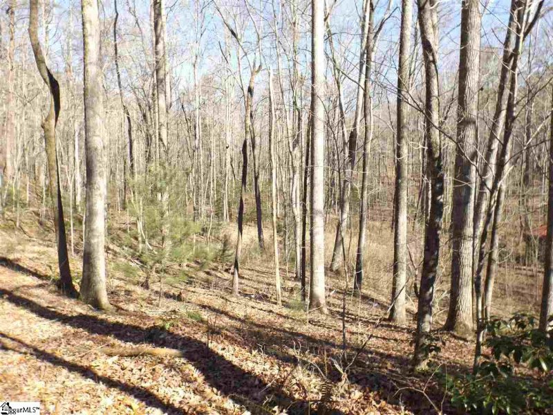 Property image 5 at Tract 6 and 7 Mountain Ridge Estates Road, Cleveland, SC 29635
