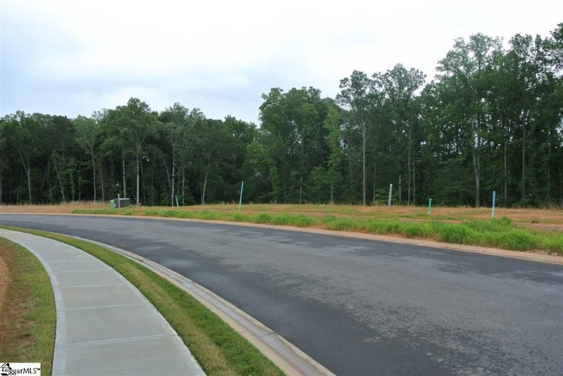 Property image 3 at 10 Winespring Place, Simpsonville, SC 29681