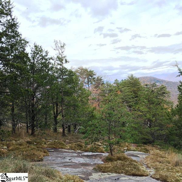 Property image 5 at 618 Upper Springs Road, Pickens, SC 29671