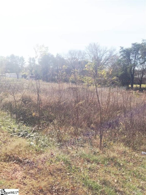 7131 White Horse Road