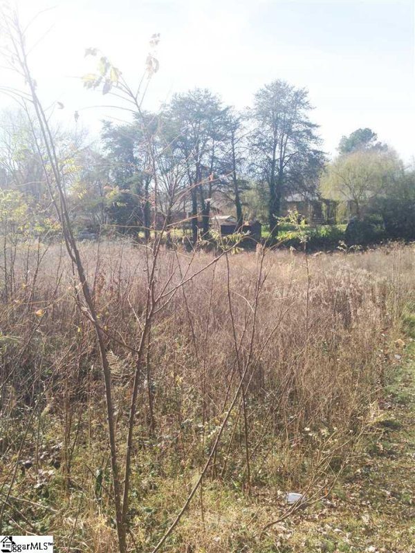 Property image 3 at 7131 White Horse Road, Greenville, SC 29617