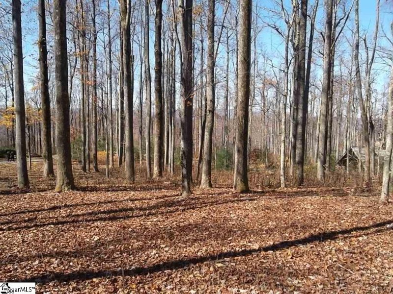 Property image 2 at Cliffsview Court, Zirconia, NC 28790