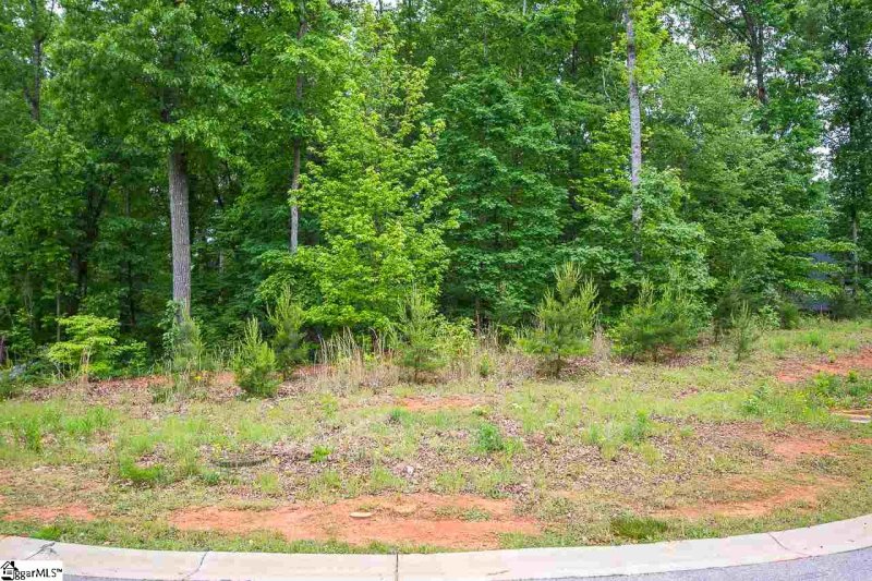 Property image 2 at 201 Ballyhoo Court, Greer, SC 29651