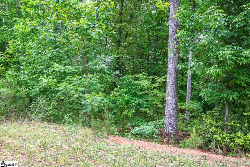 Property image 3 at 201 Ballyhoo Court, Greer, SC 29651