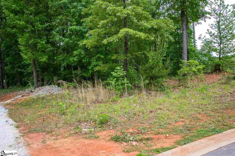 Property image 4 at 201 Ballyhoo Court, Greer, SC 29651