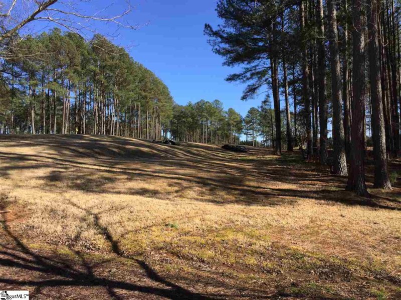Property image 2 at 309 Meadow Tree Court, Travelers Rest, SC 29690