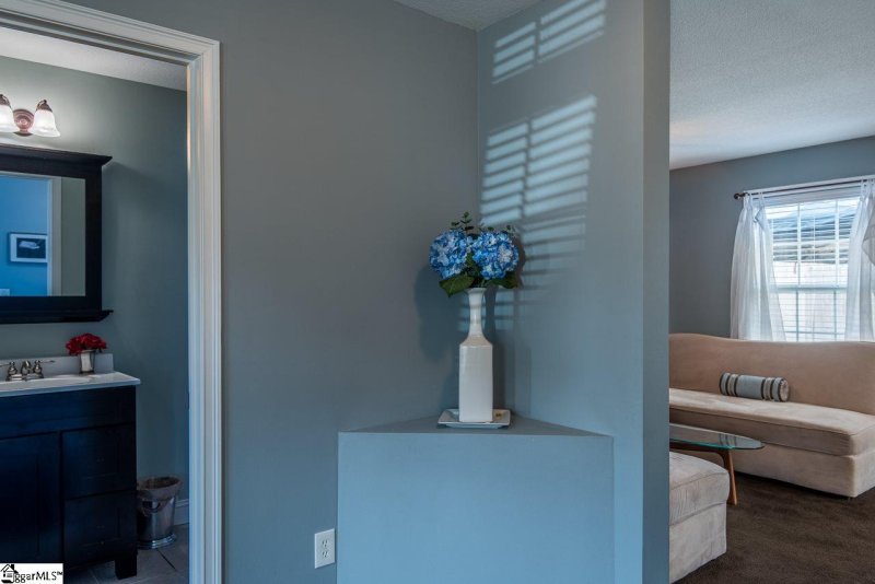 Property image 4 at 223 Silver Run Lane, Greenville, SC 29607