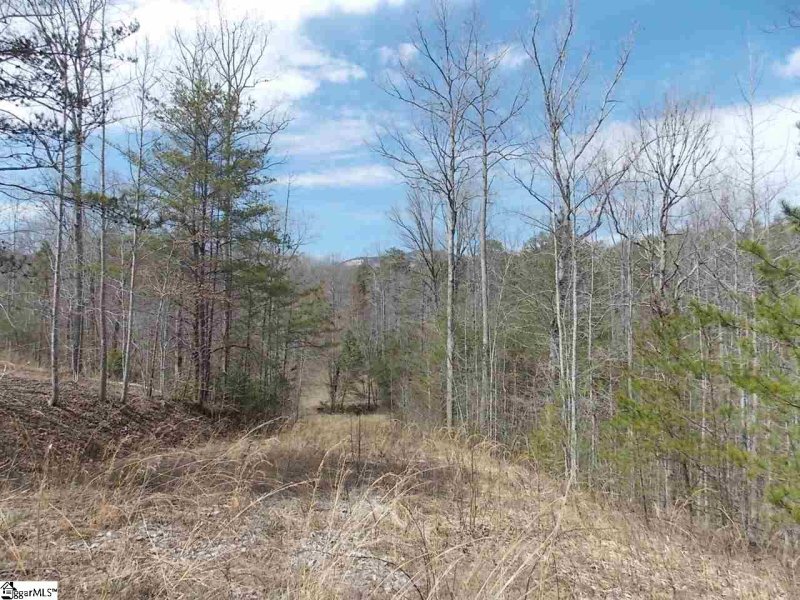 Property image 2 at 100 Wandering Way, Pickens, SC 29671