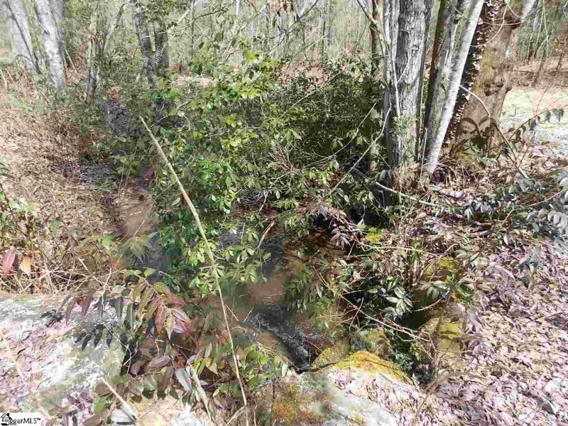 Property image 3 at 100 Wandering Way, Pickens, SC 29671