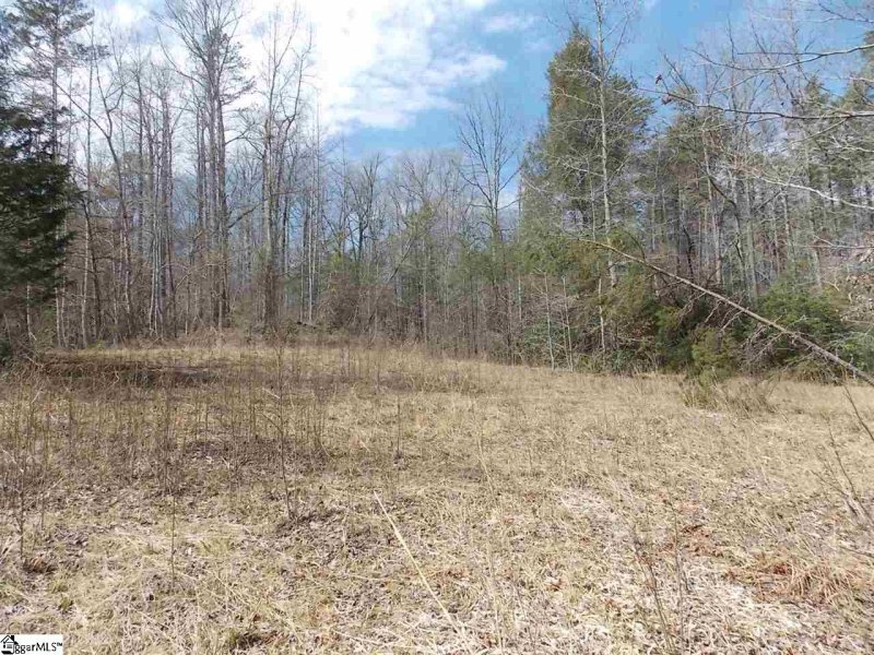 Property image 4 at 100 Wandering Way, Pickens, SC 29671