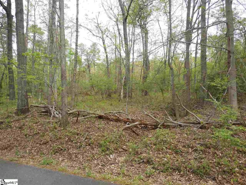 Property image 2 at 0 Manhattan Boulevard, Piedmont, SC 29673