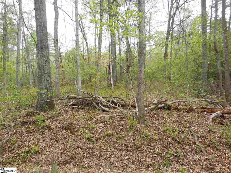 Property image 3 at 0 Manhattan Boulevard, Piedmont, SC 29673