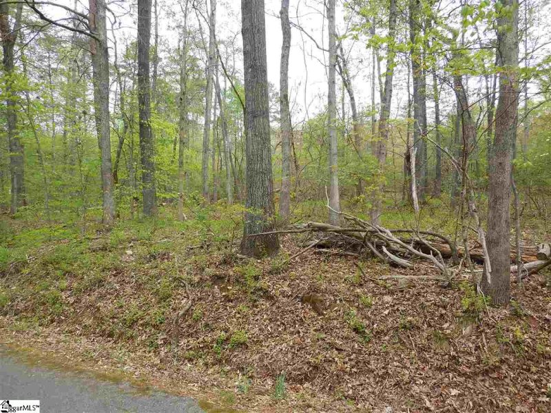 Property image 4 at 0 Manhattan Boulevard, Piedmont, SC 29673