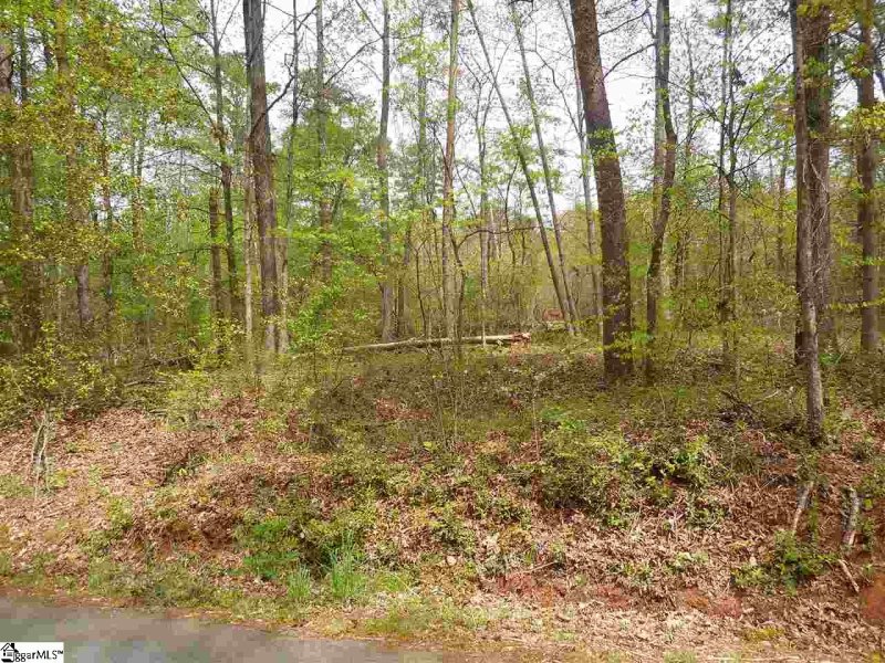 Property image 5 at 0 Manhattan Boulevard, Piedmont, SC 29673