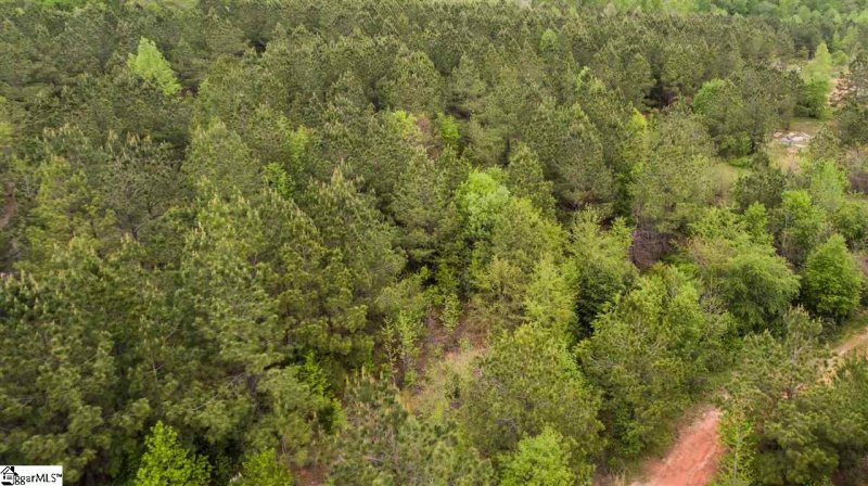 Property image 4 at 832 Dunklin Bridge Road, Fountain Inn, SC 29644