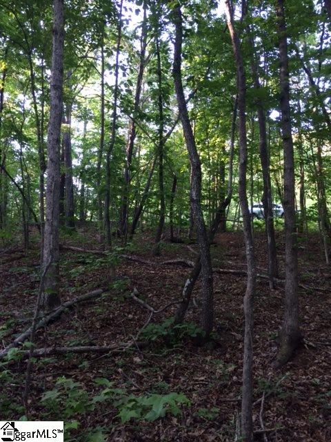 Property image 4 at 2 Mossy Brook Trail, Travelers Rest, SC 29690