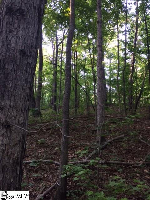 Property image 5 at 2 Mossy Brook Trail, Travelers Rest, SC 29690