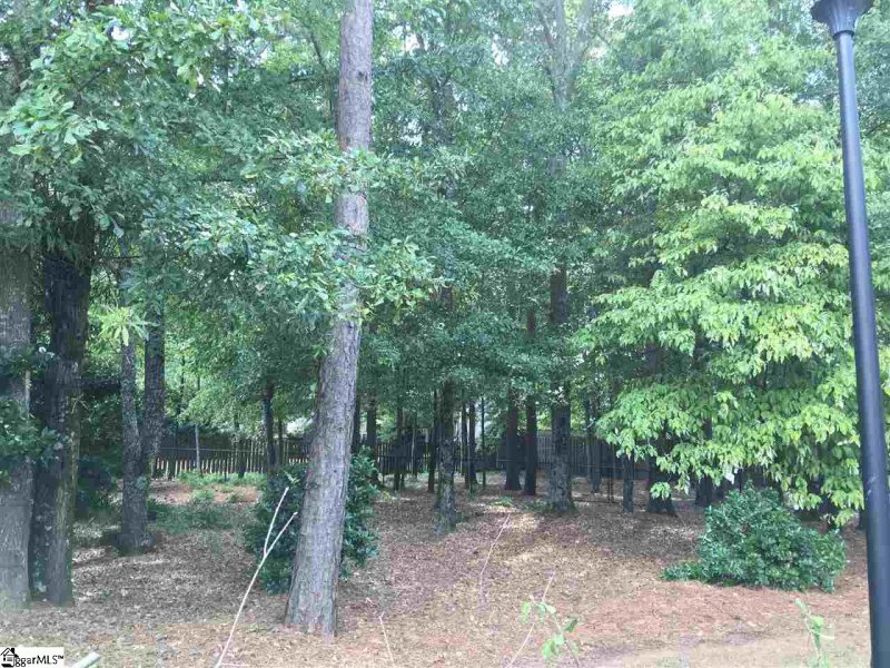 Property image 2 at 24 Silvery Blue Court, Greenville, SC 29607