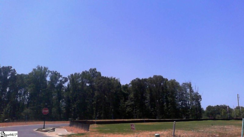 Property image 5 at 212 Winespring Place, Simpsonville, SC 29681