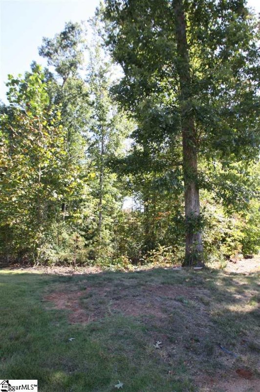 Property image 3 at 116 Yellow Fin Court, Greer, SC 29651