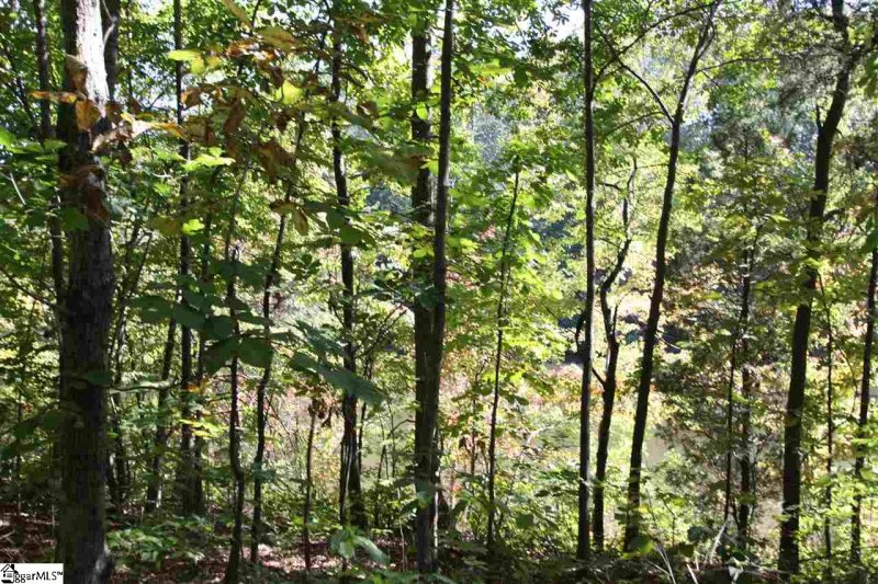 Property image 4 at 45 Blue Gill Drive, Greer, SC 29651