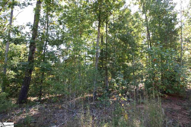 Property image 5 at 45 Blue Gill Drive, Greer, SC 29651