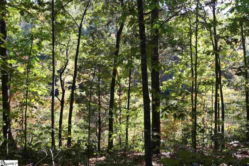 Property image 3 at 35 Blue Gill Drive, Greer, SC 29651