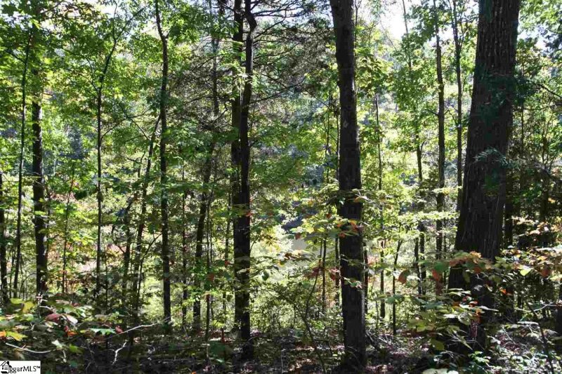 Property image 5 at 25 Blue Gill Drive, Greer, SC 29651