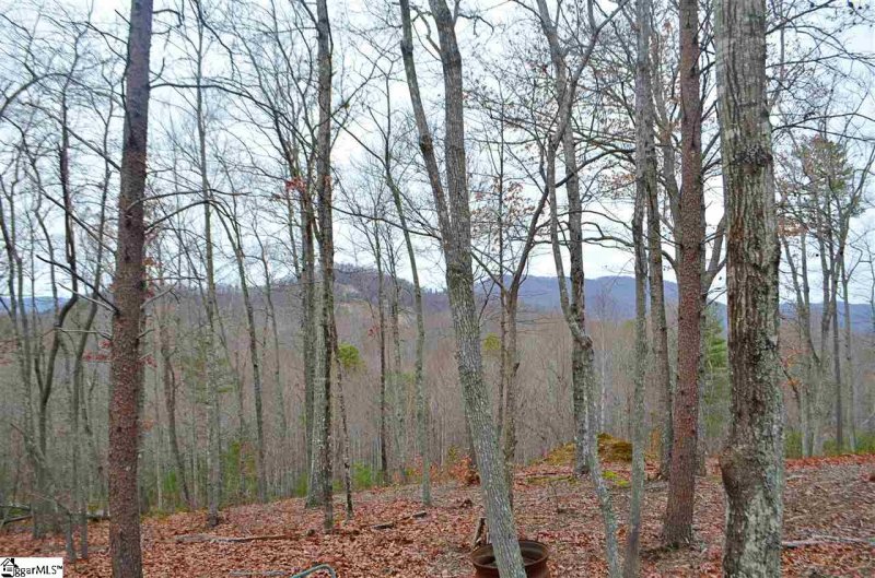 Property image 2 at 36 Terra Trace Way, Travelers Rest, SC 29690