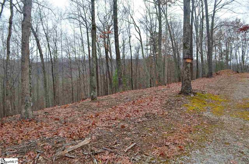 Property image 3 at 36 Terra Trace Way, Travelers Rest, SC 29690