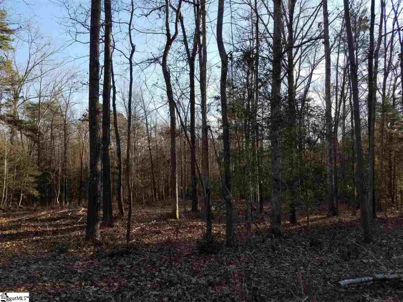 Property image 2 at 26324 Carolina Way, Fountain Inn, SC 29644