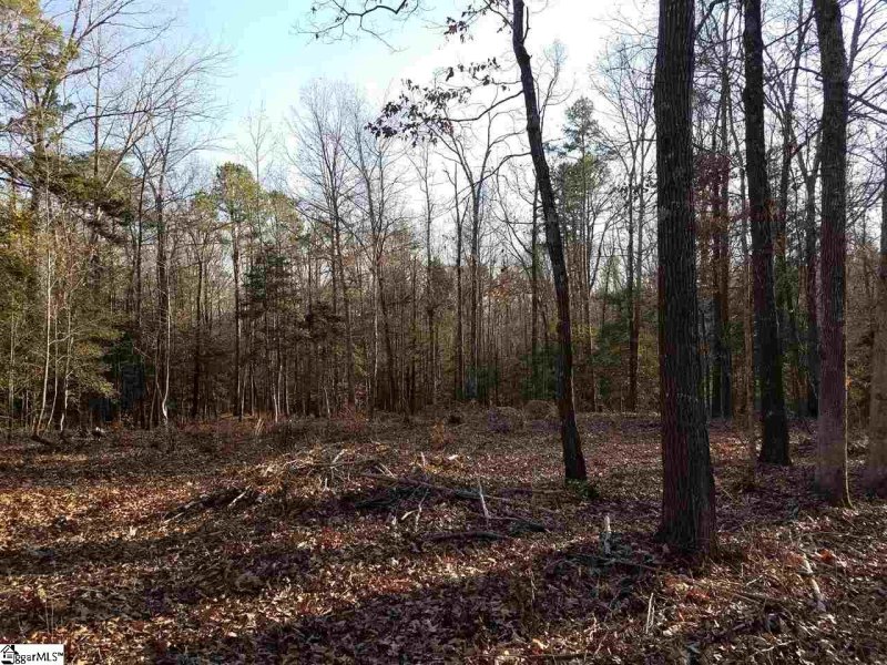 Property image 4 at 26324 Carolina Way, Fountain Inn, SC 29644